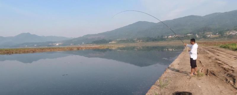 2.0主线适合钓多大鱼