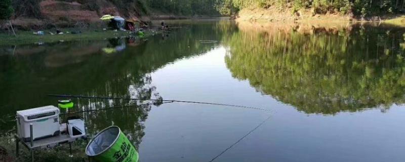 温差10℃好不好钓鱼