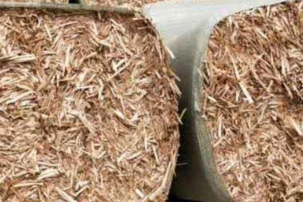 养羊饲料有哪些，包括秸秆、红薯藤、蔬菜叶、麦麸、玉米粉等种类