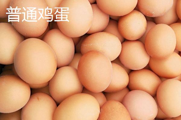 雏鸡蛋和普通鸡蛋的区别，生产时间和大小均不同