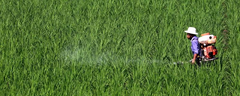 病虫有了抗药性怎么办