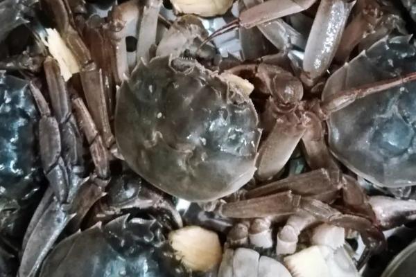 大闸蟹母蟹几月最肥，每年的农历9月份左右最肥