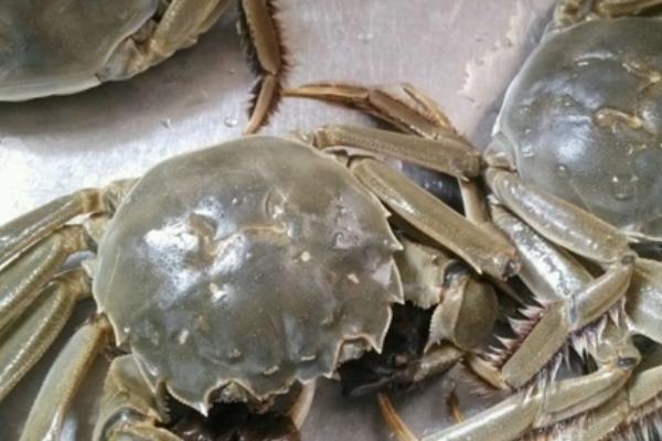 大闸蟹母蟹几月最肥，每年的农历9月份左右最肥