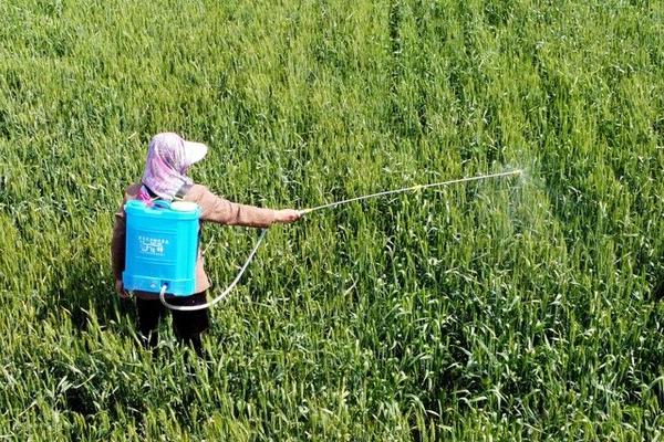 丁草胺的使用禁忌，应该控制好用量