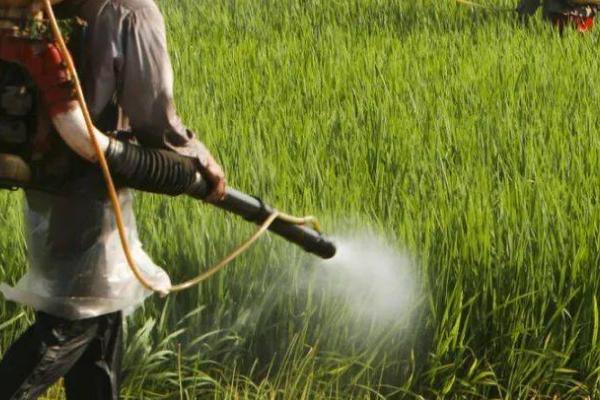 丁草胺的使用禁忌，应该控制好用量