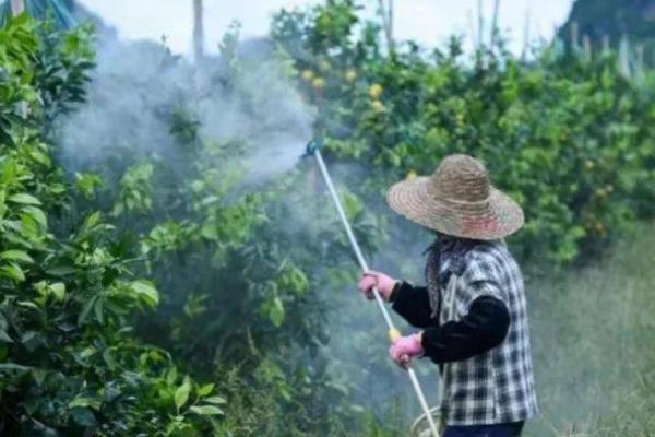 丁草胺的使用禁忌，应该控制好用量