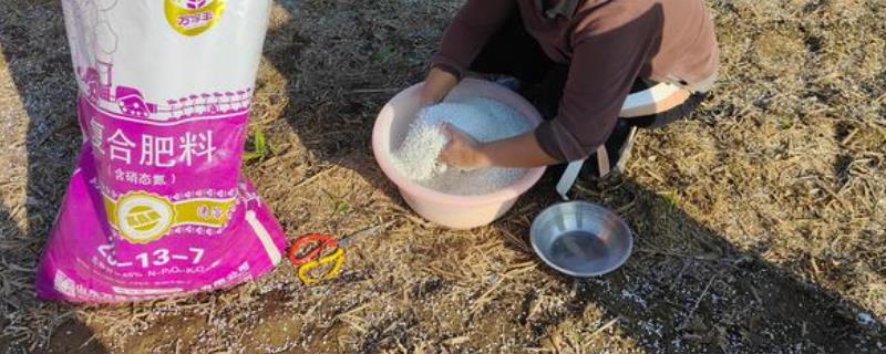 使用复合肥要注意什么