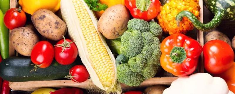 蔬菜出现冻害的原因和补救方法