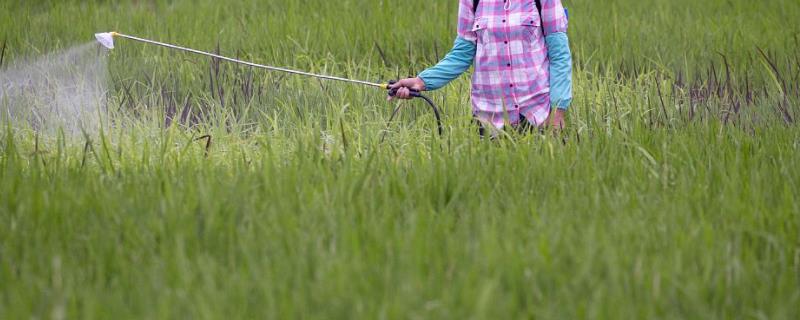 有哪些常用的除草剂