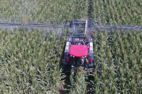 有哪些常用的除草剂，甲草胺、氟乐灵、施田补等药物经常被使用