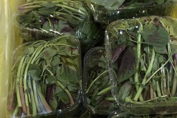 苋菜能否用冰箱保存，可以保存且不会破坏口感
