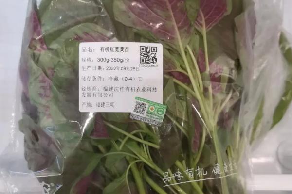 苋菜能否用冰箱保存，可以保存且不会破坏口感