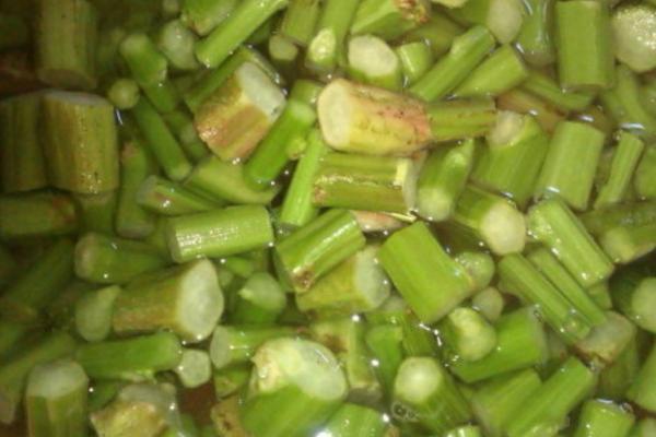 苋菜能否用冰箱保存，可以保存且不会破坏口感