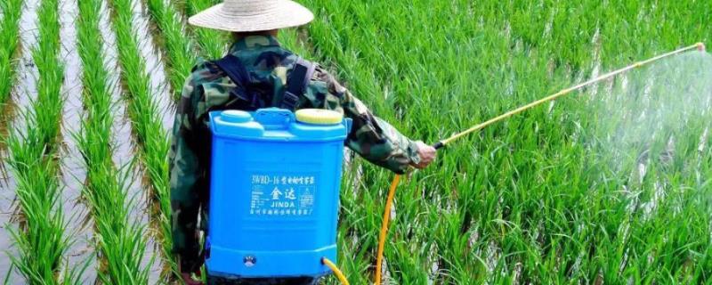 氟乐灵怎么使用