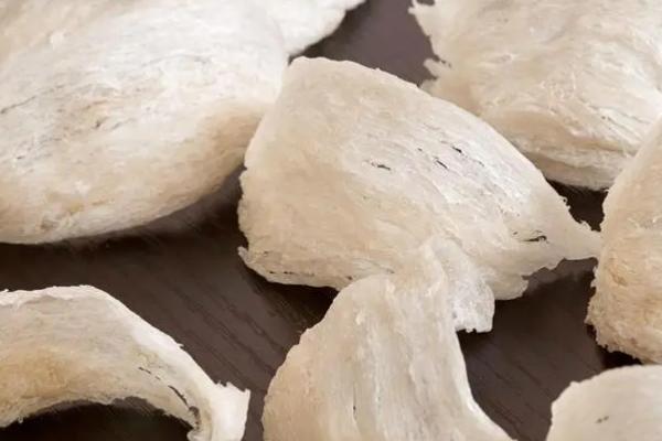 燕窝是什么，是雨燕和金丝燕分泌出的唾液