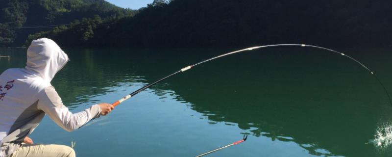 冬天路亚容易钓鱼吗