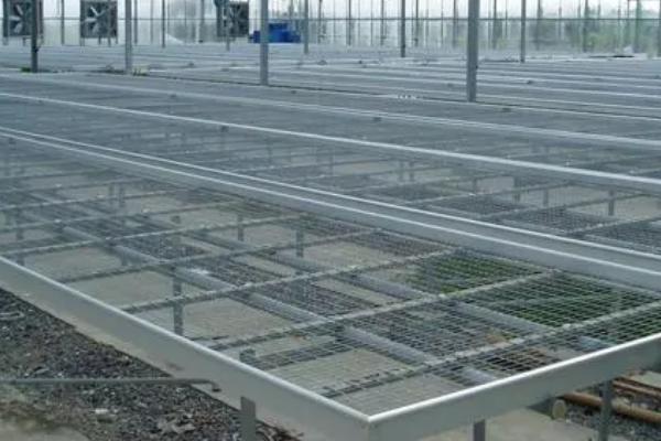 夏天培育蔬菜苗怎么把关，厢面要浇透水、以防损失墒情