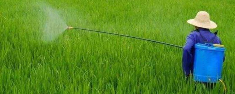 几丁聚糖农药的防治对象