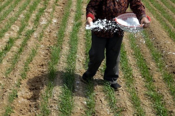 施肥技术，种肥、追肥和底肥的施肥方法不同