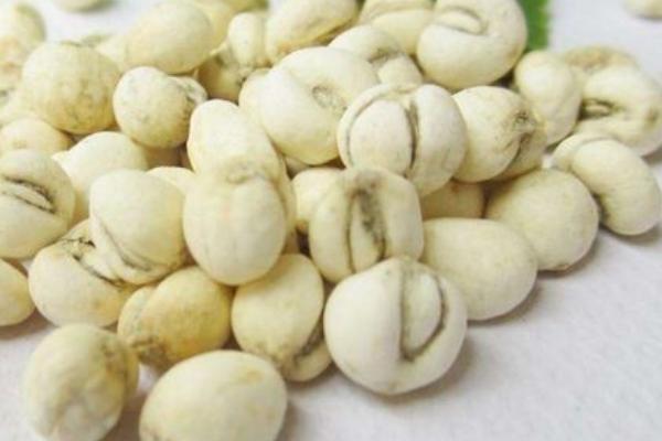 哪些药材适合在沙地种植，人参、贝母、黄芪、射干等品种可在沙地种植