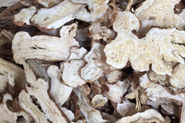 哪些药材适合在沙地种植，人参、贝母、黄芪、射干等品种可在沙地种植