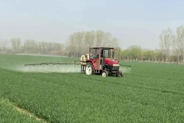 肟菌酯能治什么病，可以防治白粉病、锈病、颖枯病等