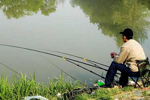 春天怎么钓鲫鱼，选好出钓时间