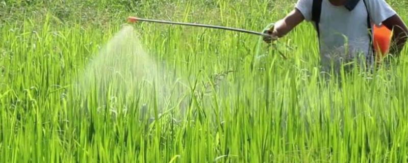 草铵膦对人的毒性大吗