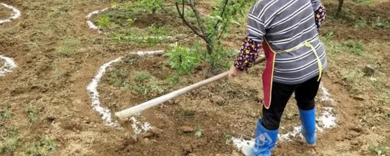 氨基酸肥料的功效与作用