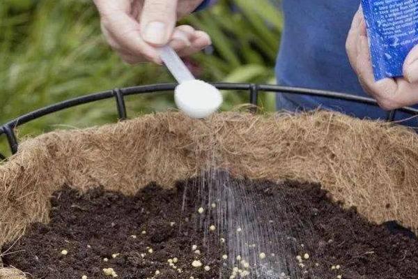 氨基酸肥料的功效与作用，可增强抗性、均衡营养和解除药害等