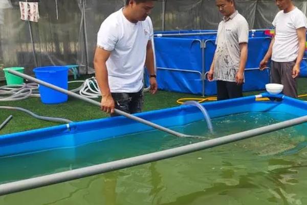 对虾高位池养殖技术，养殖池应尽可能靠近海边