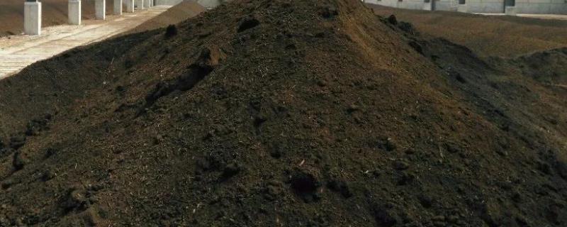 羊粪做肥料的好处