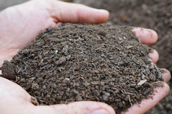 羊粪做肥料的好处，能提供农作物所需全面营养