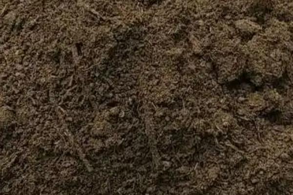 羊粪做肥料的好处，能提供农作物所需全面营养