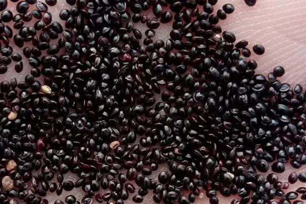 怎么测定蔬菜种子的含水量，可采用标准检验法、感官测定法等方式