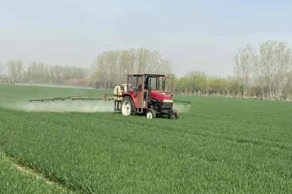 打药几小时内不能下雨，打药后的4-5个小时内下雨了需要重新喷洒