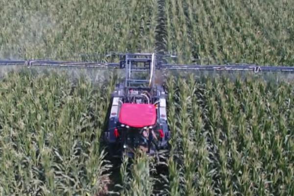 打药几小时内不能下雨，打药后的4-5个小时内下雨了需要重新喷洒