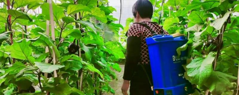 怎么使用防落素