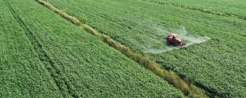 烯草酮土壤残留多少天