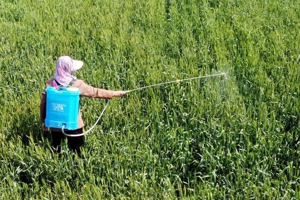 烯草酮土壤残留多少天，残留时间为3-26天