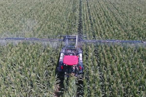 烯草酮土壤残留多少天，残留时间为3-26天