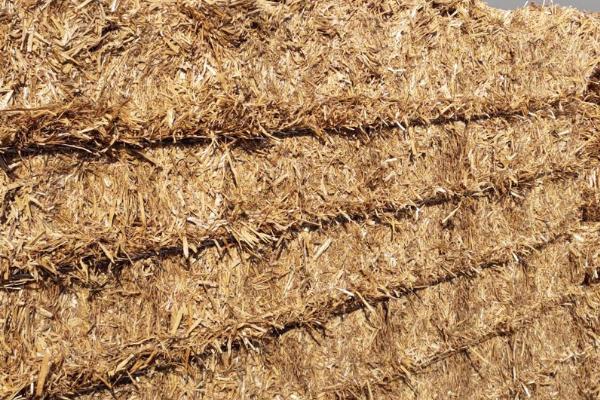 豆腐渣晒干后可以喂羊吗，可以但要注意用量