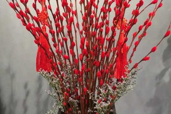 冬天怎么养银柳，可在盆中扦插