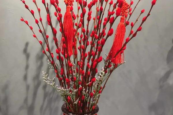 冬天怎么养银柳，可在盆中扦插