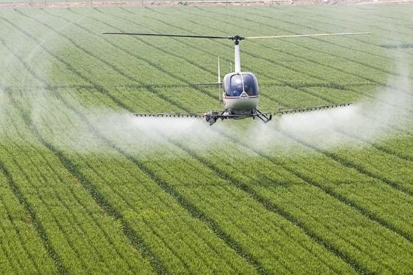 小麦赤霉病的防治技术，选择抗病良种，播前药剂拌种