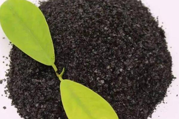 微生物肥料可以修复土壤吗，可以修复被污染的土壤