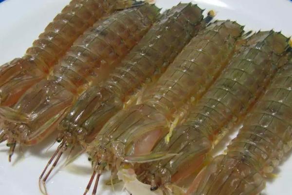 虾爬子什么季节最肥，春秋季节最肥