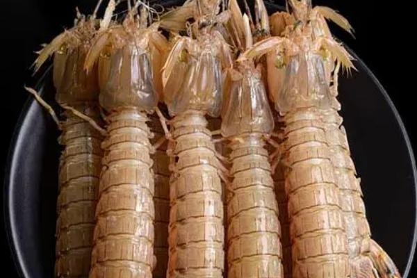 虾爬子什么季节最肥，春秋季节最肥