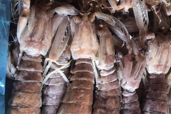 虾爬子什么季节最肥，春秋季节最肥