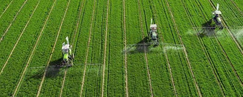 中国农业居于弱势地位的主要表现